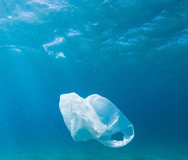 bolsa plástica flotando en el océano